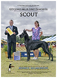 BIS BISS GCH Longo  Miller n Lore Diamond LIL
