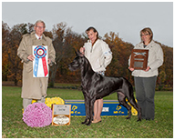 BIS BISS GCH Longo  Miller n Lore Diamond LIL