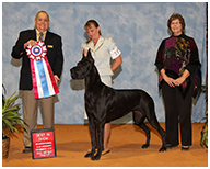 BIS BISS GCH Longo  Miller n Lore Diamond LIL
