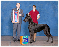 BIS BISS GCH Longo  Miller n Lore Diamond LIL