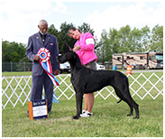 BIS BISS GCH Longo  Miller n Lore Diamond LIL
