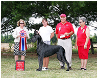 BIS BISS GCH Longo  Miller n Lore Diamond LIL