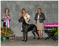 BIS BISS GCH Longo  Miller n Lore Diamond LIL