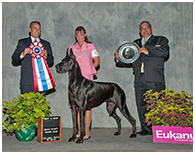 BIS BISS GCH Longo  Miller n Lore Diamond LIL