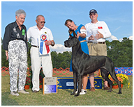 BIS BISS GCH Longo  Miller n Lore Diamond LIL