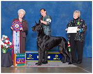 BIS BISS GCH Longo  Miller n Lore Diamond LIL