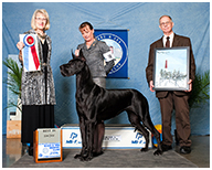 BIS BISS GCH Longo  Miller n Lore Diamond LIL