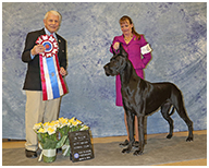 BIS BISS GCH Longo  Miller n Lore Diamond LIL