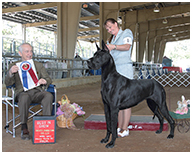 BIS BISS GCH Longo  Miller n Lore Diamond LIL