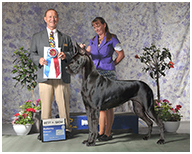 BIS BISS GCH Longo  Miller n Lore Diamond LIL