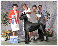 BIS BISS GCH Longo  Miller n Lore Diamond LIL