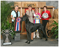 BIS BISS GCH Longo  Miller n Lore Diamond LIL