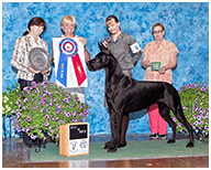 BIS BISS GCH Longo  Miller n Lore Diamond LIL