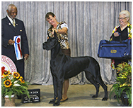 BIS BISS GCH Longo  Miller n Lore Diamond LIL