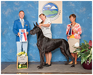 BIS BISS GCH Longo  Miller n Lore Diamond LIL
