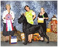 BIS BISS GCH Longo  Miller n Lore Diamond LIL