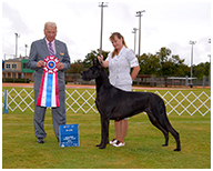 BIS BISS GCH Longo  Miller n Lore Diamond LIL