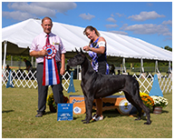BIS BISS GCH Longo  Miller n Lore Diamond LIL