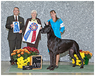 BIS BISS GCH Longo  Miller n Lore Diamond LIL