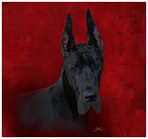 BIS BISS GCH Longo  Miller n Lore Diamond LIL