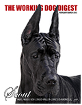BIS BISS GCH Longo  Miller n Lore Diamond LIL