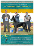GCH Longo  Miller n Lore Diamond LIL
