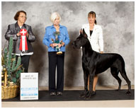 GCH Longo  Miller n Lore Diamond LIL