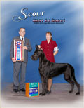 BIS BISS GCH Longo  Miller n Lore Diamond LIL