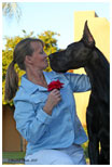 GCH Longo  Miller n Lore Diamond LIL