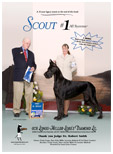BIS BISS GCH Longo  Miller n Lore Diamond LIL