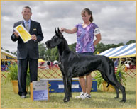 BISS GCH Longo  Miller n Lore Diamond LIL