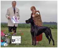 BIS BISS CH Longo’s Starry Studded V Miller AOM HOF