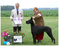 BIS BISS CH Longo’s Starry Studded V Miller AOM HOF