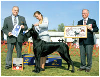 BIS BISS CH Longo’s Starry Studded V Miller AOM HOF