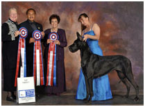 BIS BISS CH Longo’s Starry Studded V Miller AOM HOF